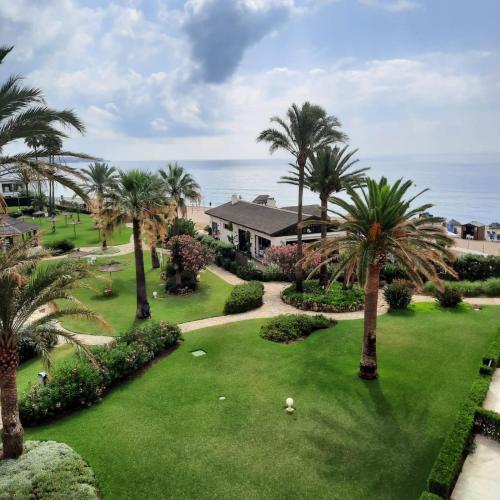 LAS MIMOSAS PARADISE