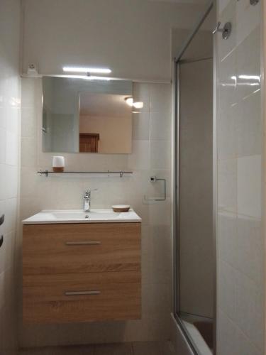 une salle de bain avec un lavabo et une douche avec un miroir dans l'établissement Antilles, à Savines