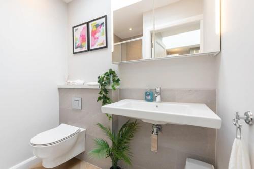 a bathroom with a sink and a toilet and a mirror at LOVELY 2bed HOME with patio & fast reliable WIFI in Dublin