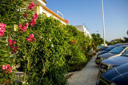 a row of cars parked in a parking lot with pink flowers at Apartments Kione Playa Romana Park in Alcossebre