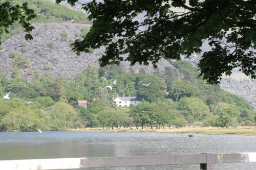 a house sitting on the side of a lake at Padarn Apartment at Glanybala Holidays in Llanberis
