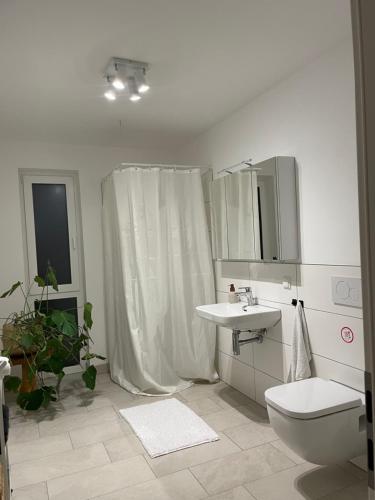a bathroom with a shower and a toilet and a sink at KG Apartment in Hannover