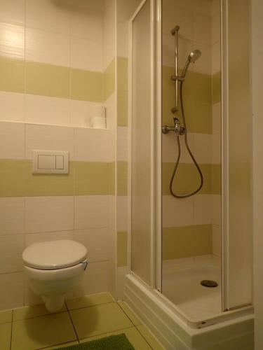 ein Bad mit einem WC und einer Dusche in der Unterkunft Cozy apartment in Bratislava