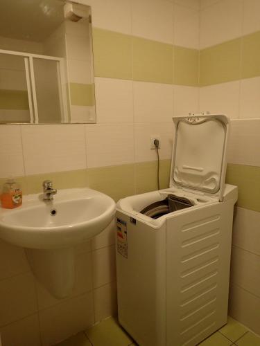 a bathroom with a sink and a trash can at Cozy apartment in Bratislava