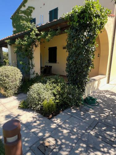 Κήπος έξω από το Villa Borgeri