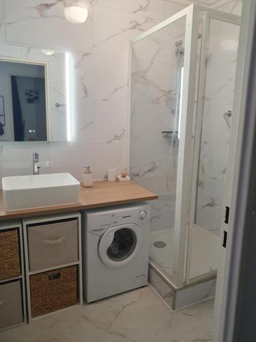 La salle de bains est pourvue d'un lave-linge et d'une douche. dans l'établissement Studio Ste Sophie, à Cannes