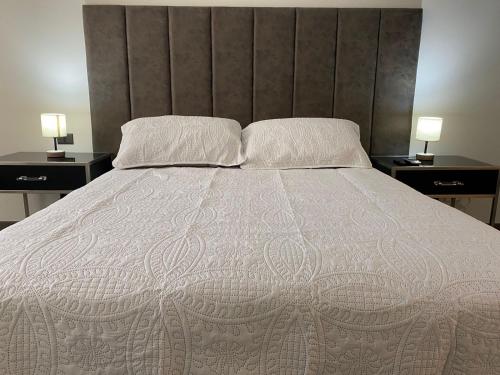 聖地亞哥的住宿－BELLO APARTAMENTO EN SANTIAGO，一间卧室配有一张带2个床头柜的大床