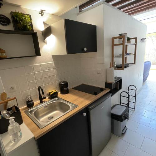 une cuisine avec un évier et un plan de travail dans l'établissement Studio cosy hypercentre Terrasse, à Blois