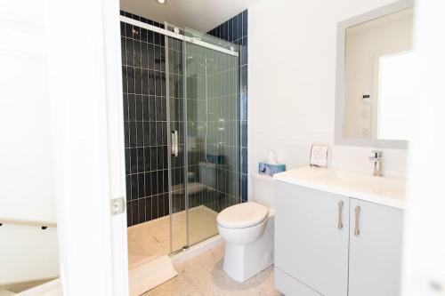 a bathroom with a shower and a toilet and a sink at Chalet Luméo in Brownsburg