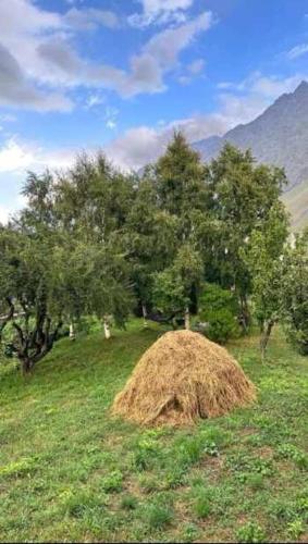a pile of hay in a field with trees at Emotion Kazbegi in Stepantsminda