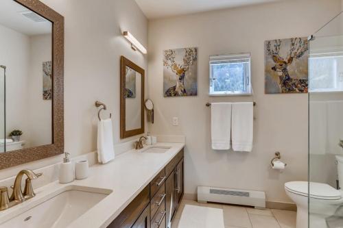 a bathroom with a sink and a toilet and a mirror at Lake View Lodge Gateway To The Rockies Sleep 6 in Georgetown