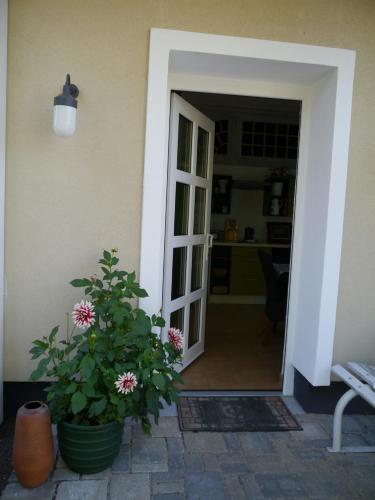 an open door to a house with a potted plant at Ferienwohnung im Neubauernweg 3 in Hoppegarten