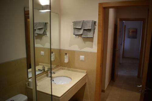 La salle de bains est pourvue d'un lavabo et d'une douche en verre. dans l'établissement Apt. Bascath, à Fuente Alamo