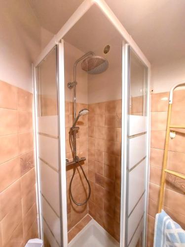 une douche avec pommeau de douche dans une salle de bain dans l'établissement soleil catalan ok chéques vacances rdc terrasse privative 150m mer 4pers wifi parking, à Saint-Cyprien