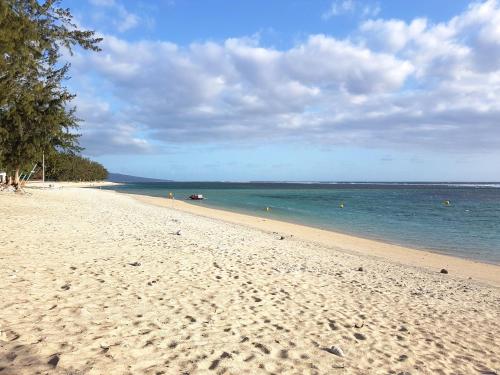 een zandstrand met een boom en de oceaan bij Dodo Coconut lagon Ermitage in Saint-Gilles-les-Bains