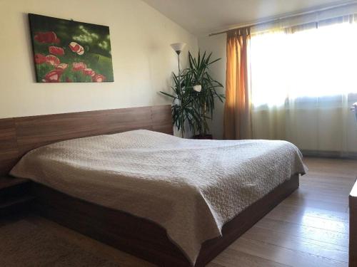 um quarto com uma cama e uma grande janela em Argeselu Garden Villa - entire floor apartment, exclusive garden access em Mărăcineni
