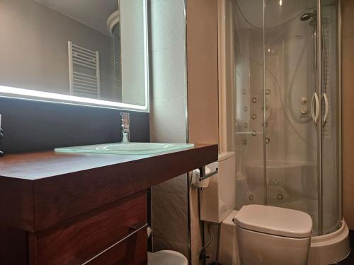 une salle de bains avec lavabo, toilettes et douche dans l'établissement 1A123 Exclusivo apto Céntrico by R2R Consulting, à Gijón