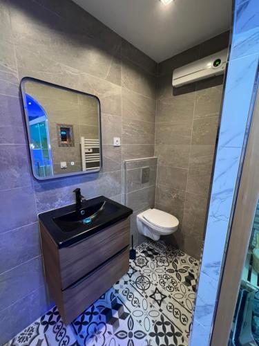 een badkamer met een wastafel en een toilet bij La nuit de rêve Spa privatif Jaccuzi Sauna suite 1 in Crouy