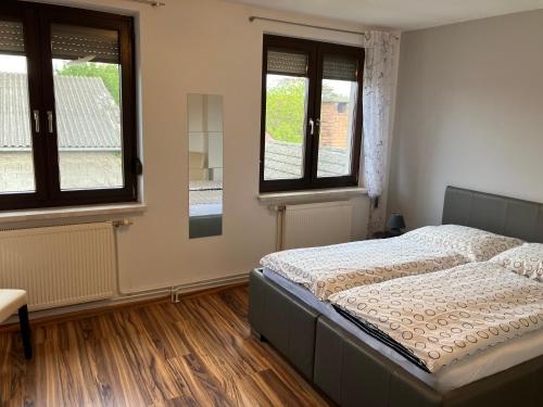 a bedroom with a bed and two windows at Appartement Ferienwohnung LANG in Apetlon