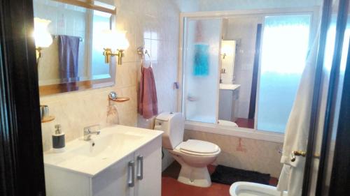La salle de bains est pourvue de toilettes, d'un lavabo et d'un miroir. dans l'établissement 3 bedrooms house with private pool enclosed garden and wifi at Chatun, à Chatún