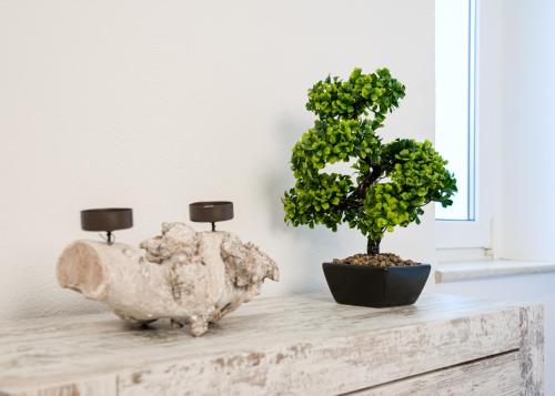 a bonsai tree and a rock on a table at Apartmenthaus Rankestraße 4 in Dresden