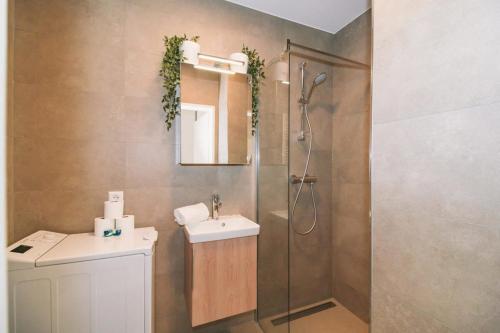 uma casa de banho com um chuveiro, um lavatório e um espelho. em Fully Renovated Studio - Luxembourg City em Luxemburgo