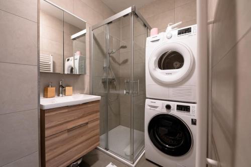 La salle de bains est pourvue d'une douche et d'un lave-linge. dans l'établissement Renovated Chic Studio 5 Min to City Center-ID-160, à Luxembourg