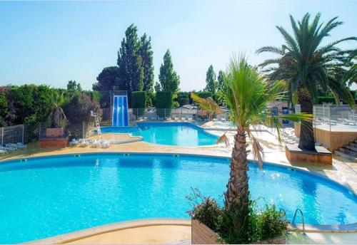 a large swimming pool with a palm tree next to it at Mobil Home 6 couchages in Vic-la-Gardiole