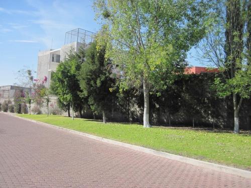 Jardín al aire libre en MS Suite Amueblada Alberca Blvd B Quintana
