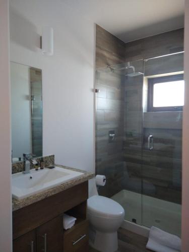 a bathroom with a toilet and a sink and a shower at Suite Loft Amplio Nuevo Salida a CDMX 204A in Querétaro