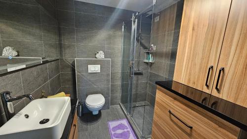a bathroom with a shower and a sink and a toilet at Pure Homolje in Krepoljin