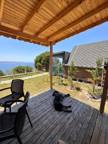 a black dog laying on a deck with two chairs at MOLA Bungalow in Marmara