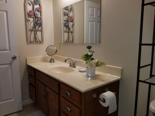 La salle de bains est pourvue d'un lavabo et d'un miroir. dans l'établissement Spacious 3BR 2BA 11 mins away from Cummins Falls State Park!!!, à Cookeville