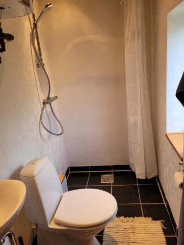 a bathroom with a toilet and a sink at Oasen Holbæk Centrum in Holbæk
