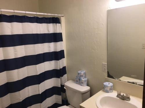 y baño con cortina de ducha, aseo y lavamanos. en Close to Fort Sill Upstairs 1 bedroom apartment en Lawton