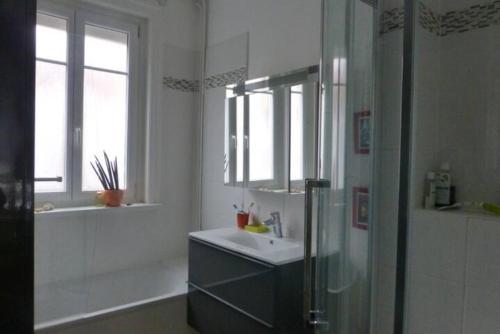 une salle de bain blanche avec un lavabo et une douche dans l'établissement Maison confortable et jardin à Lille, à Lille