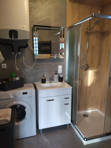 a bathroom with a shower and a sink and a washing machine at Gładyszówka - Chatka w Gorcach in Ponice