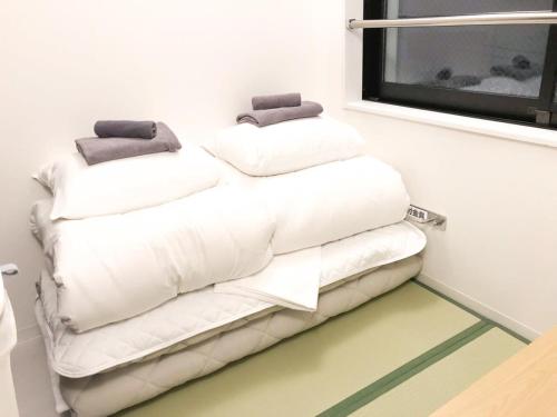 Okubo Shinjuku new open Capsule hotel