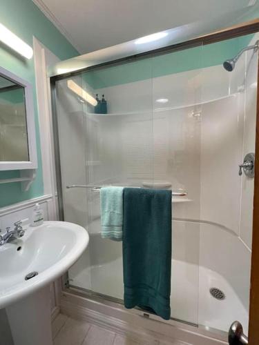 a bathroom with a sink and a shower with a glass door at Ardan Cottage in Ingonish in Ingonish Beach