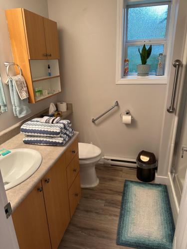 a bathroom with a sink and a toilet and a window at Pleasant Valley Vacation Suite in Nanaimo