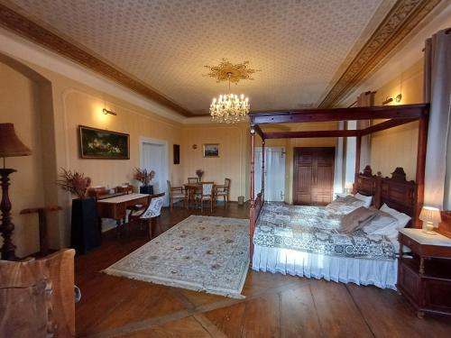 1 dormitorio con 1 cama grande con dosel en una habitación en Apartmán Fara, en Včelákov