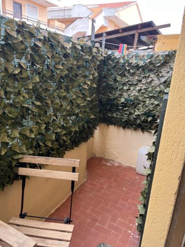 a wall covered in lots of ivy at Da Adriana Guesthouse in Santa Teresa Gallura