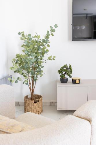 a living room with two potted plants and a couch at Villa Koludrovac in Kaštela