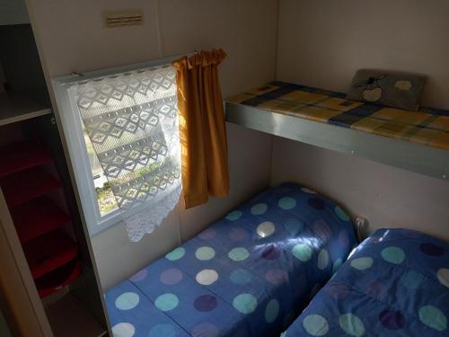 Cette petite chambre comprend des lits superposés et une fenêtre. dans l'établissement Mobil-Home The Duck, à Saint-Paul-lès-Dax