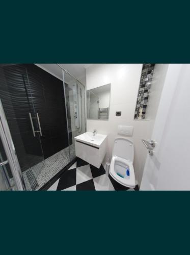 uma casa de banho com um WC, um lavatório e um chuveiro em ONYX Apartament em Braila