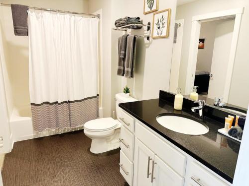 a bathroom with a sink and a toilet and a shower at 2BR 2BA Top Floor DT GR Penthouse Parking &Gym in Grand Rapids