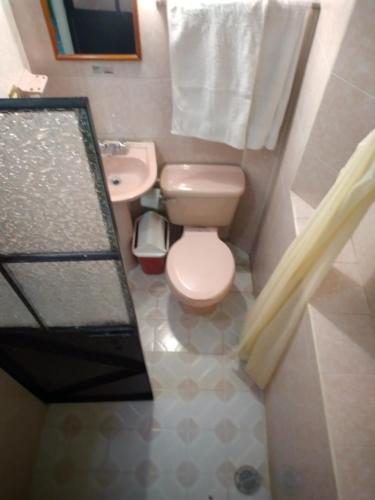 a small bathroom with a toilet and a sink at Hotel Las Palomas in Taxco de Alarc&oacute;n