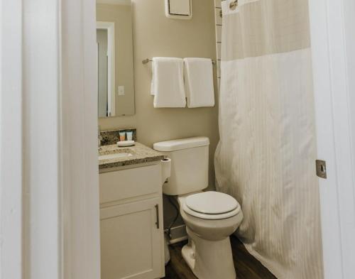 a bathroom with a toilet and a sink and a shower at Spacious 2BR Apt on Mass Ave w Kitchen in Indianapolis