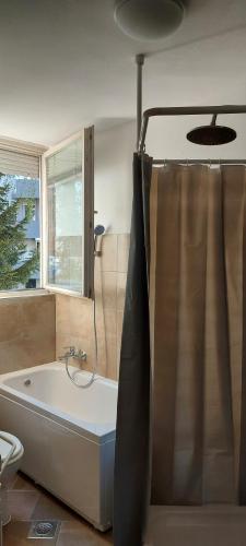 波熱加的住宿－Apartman Orljava，带浴缸和淋浴帘的浴室