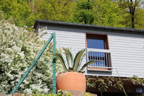 une plante dans un pot devant une maison dans l'établissement La maisonnette en bois, à Estaing